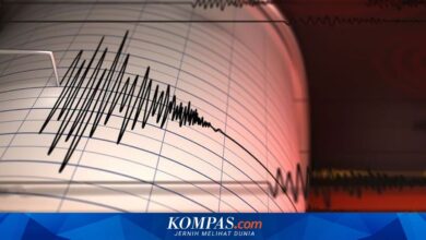 Gempa M 5,6 Guncang Teluk Tomini, Warga Gorontalo Mengaku Seperti Dilempar