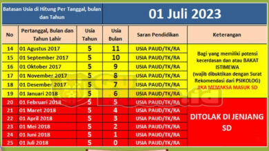 Kemendikdasmen Longgarkan Usia Masuk SD, Anak 5,5 Tahun Hanya Bisa Masuk Dengan Rekomendasi Psikolog