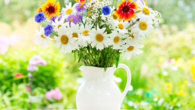 5 Bunga Potong yang Tetap Cantik di Vas Lebih Lama, Hemat dan Praktis