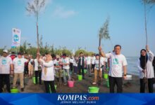 Pemprov Jateng Tanam 92.290 Mangrove Serentak di 16 Pesisir, Hadang Rob dan Abrasi Sejak Pantai Tirang