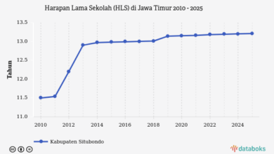 HLS Jawa Timur Tumbuh Konsisten, Situbondo Masih Tertahan di 13,21 Tahun
