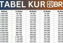 Saat Dana di Atas Plafon KUR Dibutuhkan, Tabel Pinjaman BRI 2026 Ini Layak Dilirik