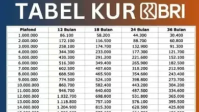 Saat Dana di Atas Plafon KUR Dibutuhkan, Tabel Pinjaman BRI 2026 Ini Layak Dilirik