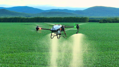 Drone Agras T40 Ubah Ritme Kebun Sawit Riau, 1 Hektare Bisa Dipupuk Sekitar 30 Menit
