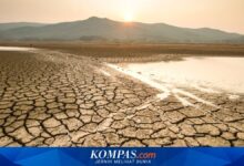 Pemprov Jabar Siapkan Kepgub Siaga Kekeringan, El Nino 2026 Ancam Air Bersih dan Panen