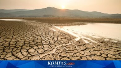 Pemprov Jabar Siapkan Kepgub Siaga Kekeringan, El Nino 2026 Ancam Air Bersih dan Panen