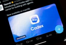 OpenAI Dorong AI Masuk ke Pekerjaan Kantoran, Codex Kini Bisa Bantu Bankir dan Tim Sales
