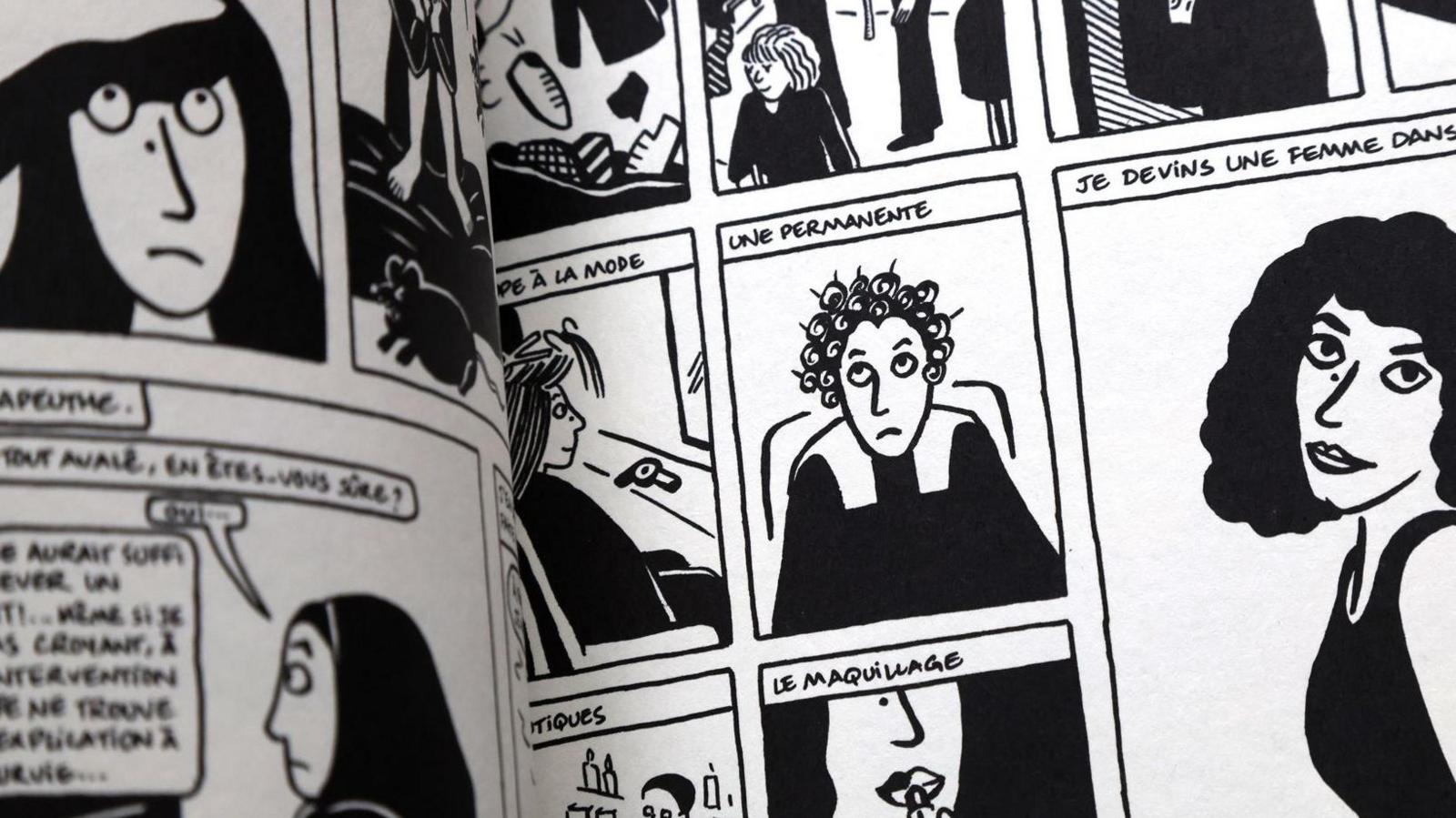 Marjane Satrapi Meninggal Di Usia 56, Dunia Kehilangan Suara Berani di Balik Persepolis