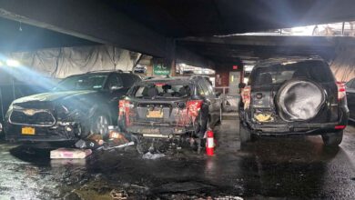 Niat Bersihkan Bulu Pohon Pakai Api, 20 Mobil Baru Hangus Terbakar di Parkiran