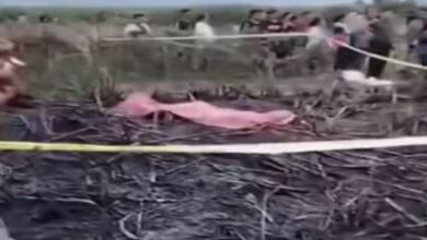 Terjebak Kobaran Api di Lahan Tebu Pati, Petani Ditemukan Tewas Terbakar