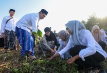 Wagub Jateng Ajak Santri Tanam Mangrove, Upaya Lawan Abrasi dan Bangun Kesadaran Ekologis