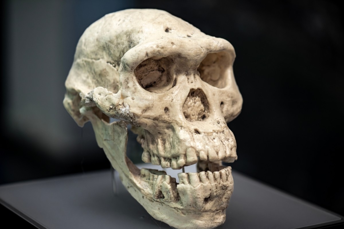 Temuan Homo Juluensis Di China Ubah Peta Asal-Usul Manusia, Fosilnya Bikin Ilmuwan Revisi Klasifikasi