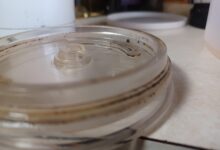 4 Cara Mencuci Tumbler Agar Tak Cepat Bau, Ternyata Kuncinya Ada Di Tutup dan Karet