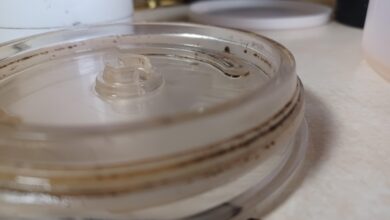 4 Cara Mencuci Tumbler Agar Tak Cepat Bau, Ternyata Kuncinya Ada Di Tutup dan Karet
