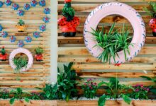 7 Kebun Gantung dari Barang Bekas, Solusi Hemat Lahan agar Tanaman Tak Mudah Diserang Tikus