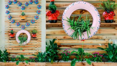 7 Kebun Gantung dari Barang Bekas, Solusi Hemat Lahan agar Tanaman Tak Mudah Diserang Tikus