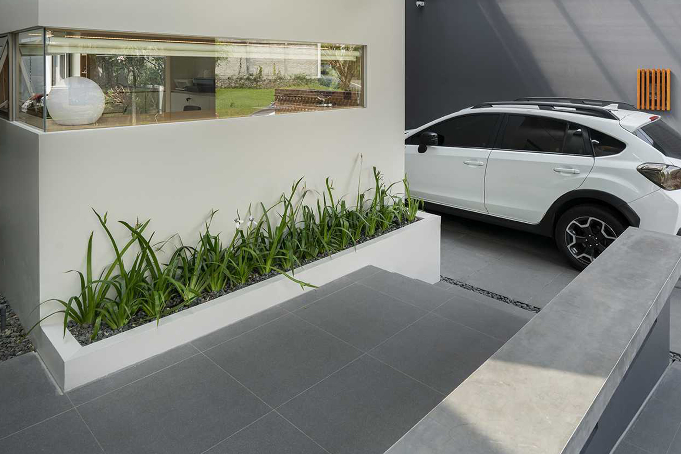 7 Tanaman Minimalis Hias yang Bikin Rumah Modern Terlihat Lebih Hidup, Tanpa Ribet Merawatnya