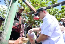 BRIN Ubah Limbah Plastik Tanpa Pilah Jadi Bahan Bakar, Kapasitasnya Melonjak Tajam