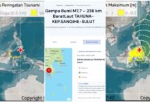 Gempa M7,7 Guncang Laut Filipina, BMKG Peringatkan Tsunami ke 22 Wilayah