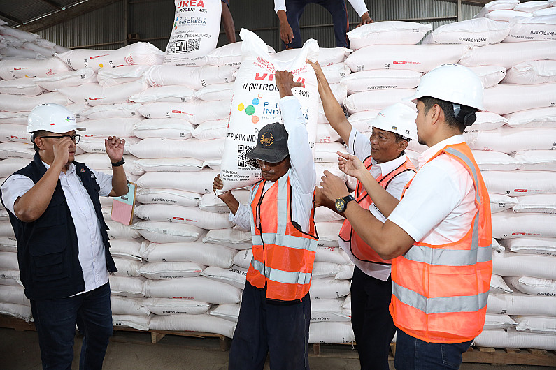 Pupuk Indonesia Jamin Stok Pupuk Subsidi di Jawa Tengah, Petani Tak Perlu Khawatir Saat Musim Tanam