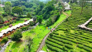 7 Tempat Wisata Bogor untuk Libur Panjang, dari Wisata Edukatif Sampai Glamping Estetik