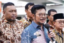 Mentan Amran Cecar GAPKI dan Wilmar, Harga TBS Anjlok Saat CPO Dunia Menguat