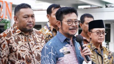 Mentan Amran Cecar GAPKI dan Wilmar, Harga TBS Anjlok Saat CPO Dunia Menguat