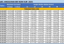 Tak Lolos KUR? Pinjaman BRI Non KUR 2026 Ini Buka Plafon Besar dengan Syarat Lebih Fleksibel