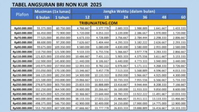 Tak Lolos KUR? Pinjaman BRI Non KUR 2026 Ini Buka Plafon Besar dengan Syarat Lebih Fleksibel