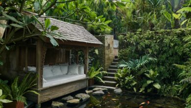 6 Ide Kolam Ikan Minimalis untuk Rumah Kecil, Suara Gemericiknya Bisa Menutup Kebisingan