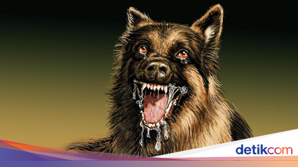 Jasinga Berduka, Polisi Telusuri Tewasnya Bocah 9 Tahun Akibat Anjing Pemburu