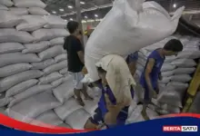 Bulog Gelontorkan Beras SPHP, Bantuan Pangan Dipercepat untuk Redam Harga Beras