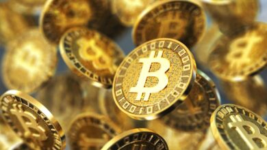 Bitcoin Bangkit Lagi, Bernstein Menilai Aset Ini Bisa Jadi Penyeimbang Di Pasar AI