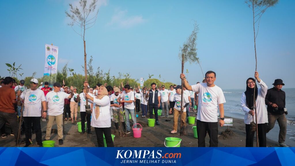 Pemprov Jateng Akui Tanam Mangrove Serentak Tak Selalu Ideal, Evaluasi Ini Ungkap Penyebabnya