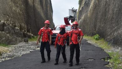 Telkom Pangkas Belasan Anak Usaha, Danantara Pastikan Tidak Ada PHK Massal