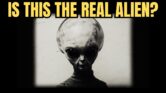 Dari Roswell Ke X-Files, Begini Alien Abu-Abu Menjadi Wajah Internet Dari Roswell Ke X-Files, Begini Alien Abu-Abu Menjadi Wajah Internet
