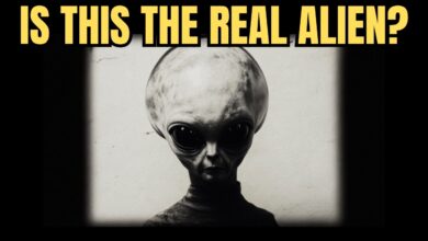Dari Roswell Ke X-Files, Begini Alien Abu-Abu Menjadi Wajah Internet