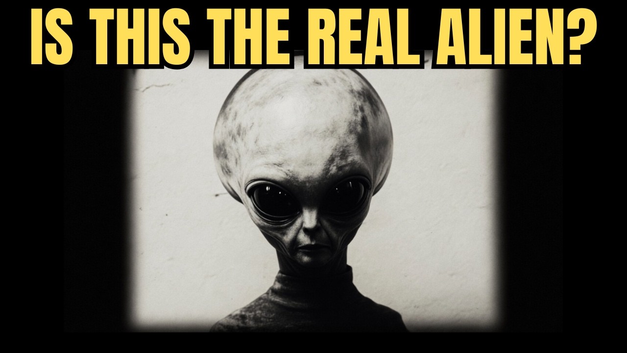 Dari Roswell Ke X-Files, Begini Alien Abu-Abu Menjadi Wajah Internet