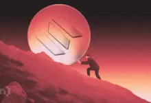 Solana Tergelincir Lebih Dalam Dari Harga, Tiga Metrik On-Chain Ungkap Luka Sebenarnya