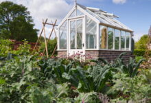 9 Ide Kebun Sayur di Lahan Sempit, Dapur Tetap Terisi Tanpa Harus Sering ke Pasar
