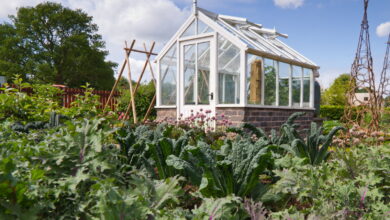 9 Ide Kebun Sayur di Lahan Sempit, Dapur Tetap Terisi Tanpa Harus Sering ke Pasar