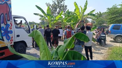 Dipicu Warga Tanam Pohon Pisang, Pemprov Jateng Tambah Rp 28,7 Miliar Untuk Jalan Randublatung-Cepu