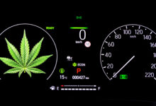 Australia Tetapkan Batas THC di Jalan, Pengemudi Medis Cannabis Tak Lagi Otomatis Kena Sanksi