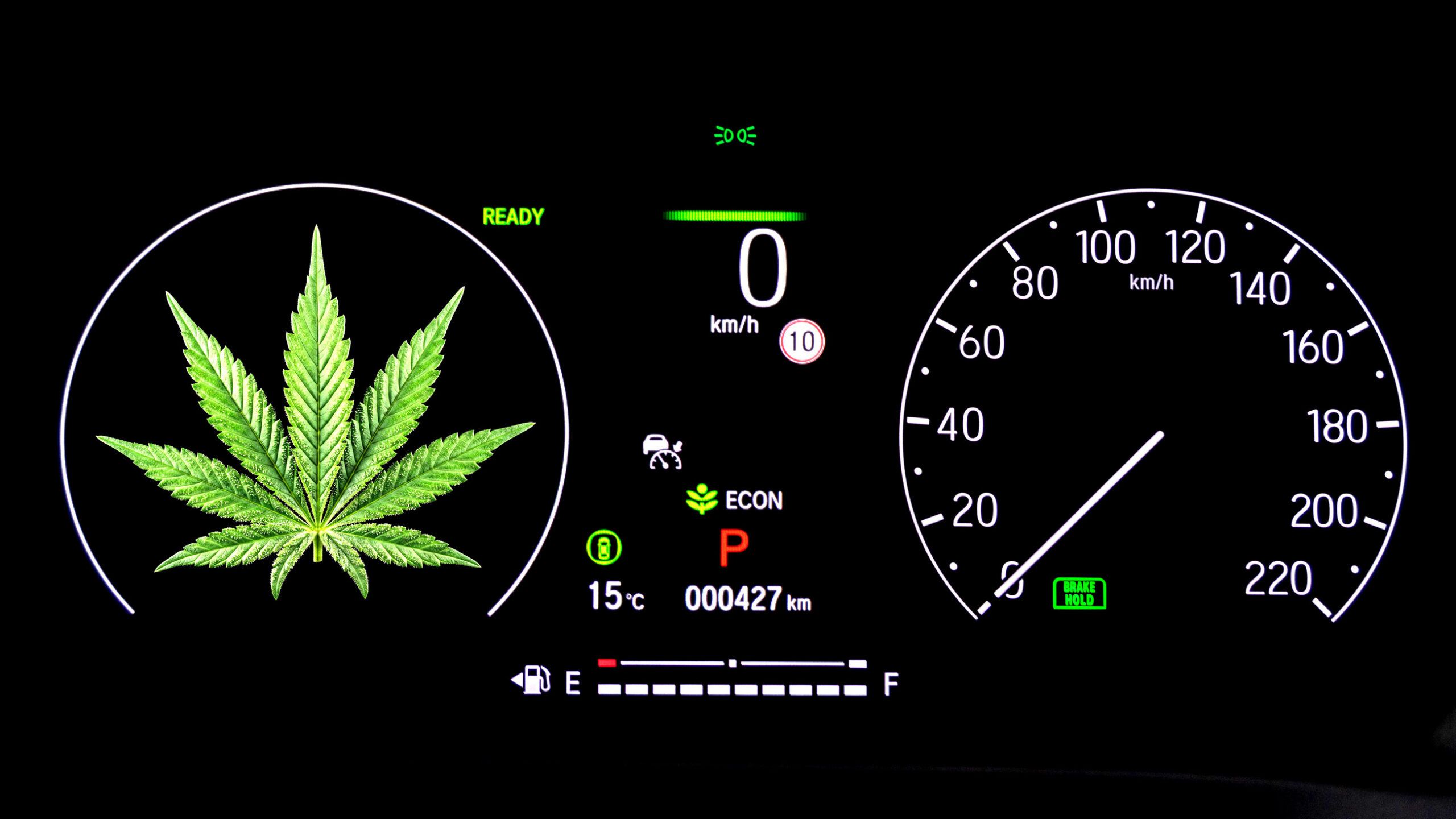 Australia Tetapkan Batas THC di Jalan, Pengemudi Medis Cannabis Tak Lagi Otomatis Kena Sanksi