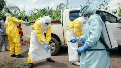 Ebola Kali Ini Berbeda, Keruntuhan Bantuan Kesehatan Membuka Jalan Bagi Krisis Yang Lebih Gelap