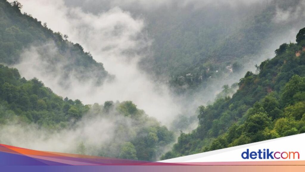 Cuaca Jatim Hari Ini Rabu 10 Juni 2026, Kabut Mengintai 17 Wilayah