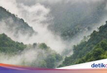 Cuaca Jatim Hari Ini Rabu 10 Juni 2026, Kabut Mengintai 17 Wilayah