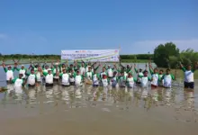 Perusahaan Ban Ini Tak Cuma Jual Produk, 13.000 Mangrove Ditanam untuk Menahan Abrasi Bekasi