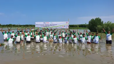 Perusahaan Ban Ini Tak Cuma Jual Produk, 13.000 Mangrove Ditanam untuk Menahan Abrasi Bekasi