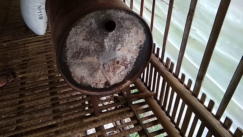 7 Kandang Ayam dari Drum Bekas yang Bisa Dipindah, Murah Dirawat dan Lebih Higienis